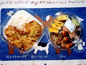 2000�N10��24���̂��ٓ�